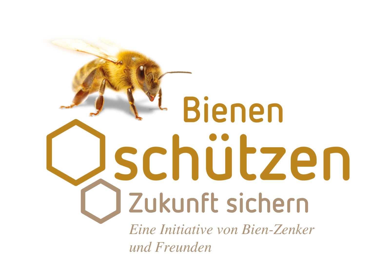 Bien-Zenker AMBIENCE 88 – Ihr individuelles Zuhause in Erbach